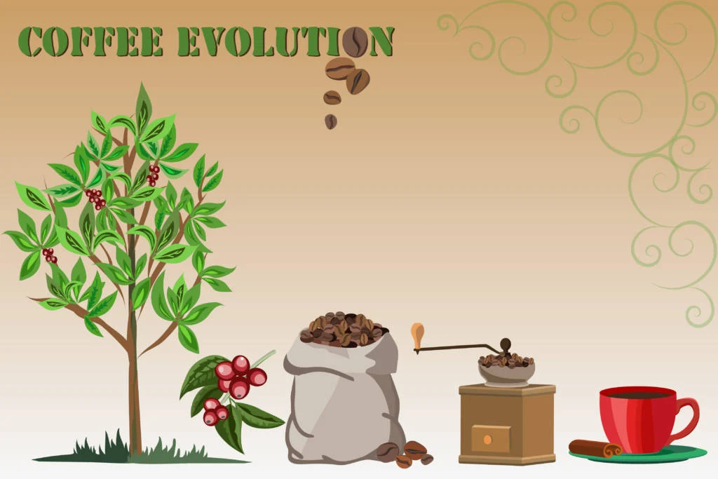 From Coffee Bean to Cup: The Journey of Great Coffee